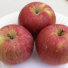 Tasting 77 California Grown Apple Varieties California Rare Fruit Growers