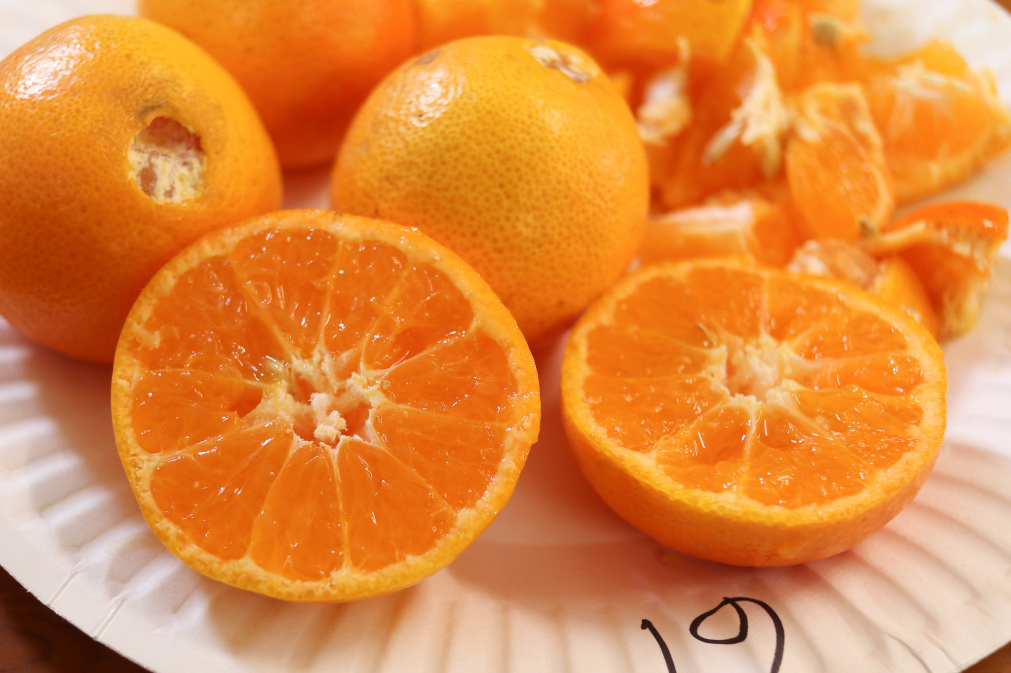 Algerian Clementine California Rare Fruit Growers