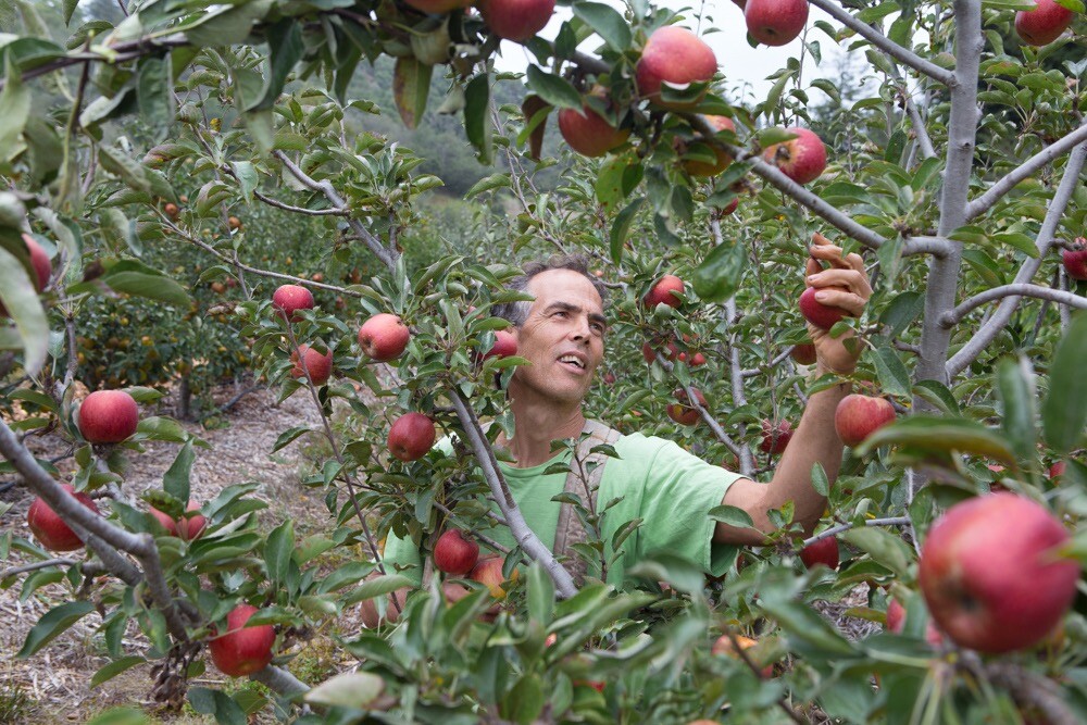 News California Rare Fruit Growers