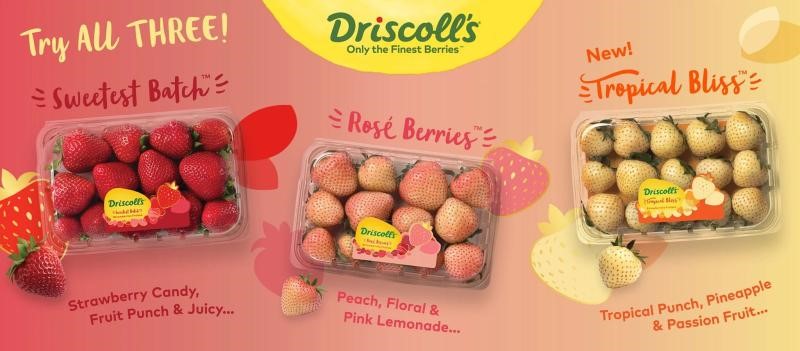 Driscoll's Bliss Berries
