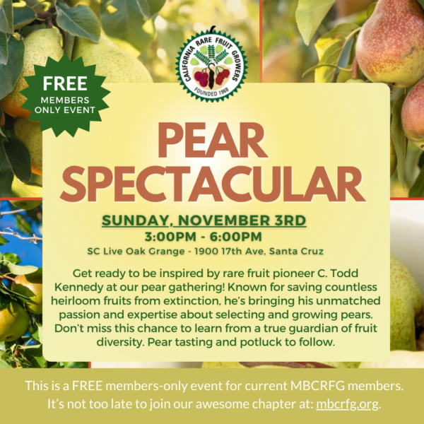 Pear Spectacular